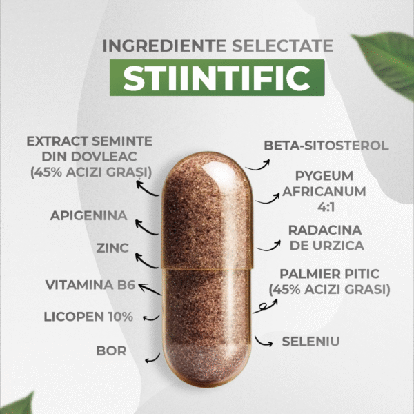 ingrediente-prostaman