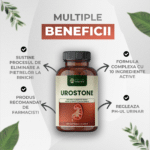 beneficii-urostone