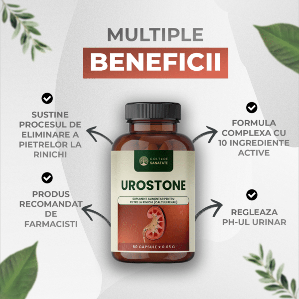 beneficii-urostone