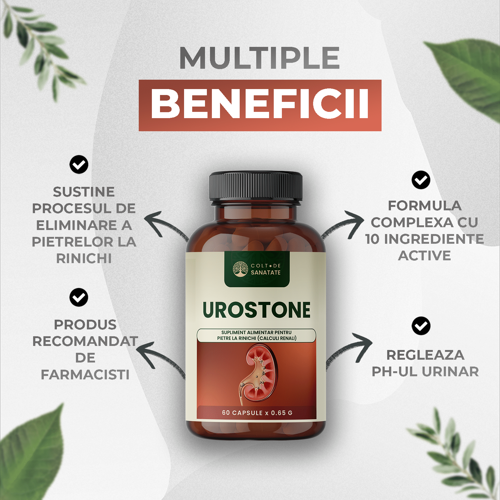 beneficii-urostone
