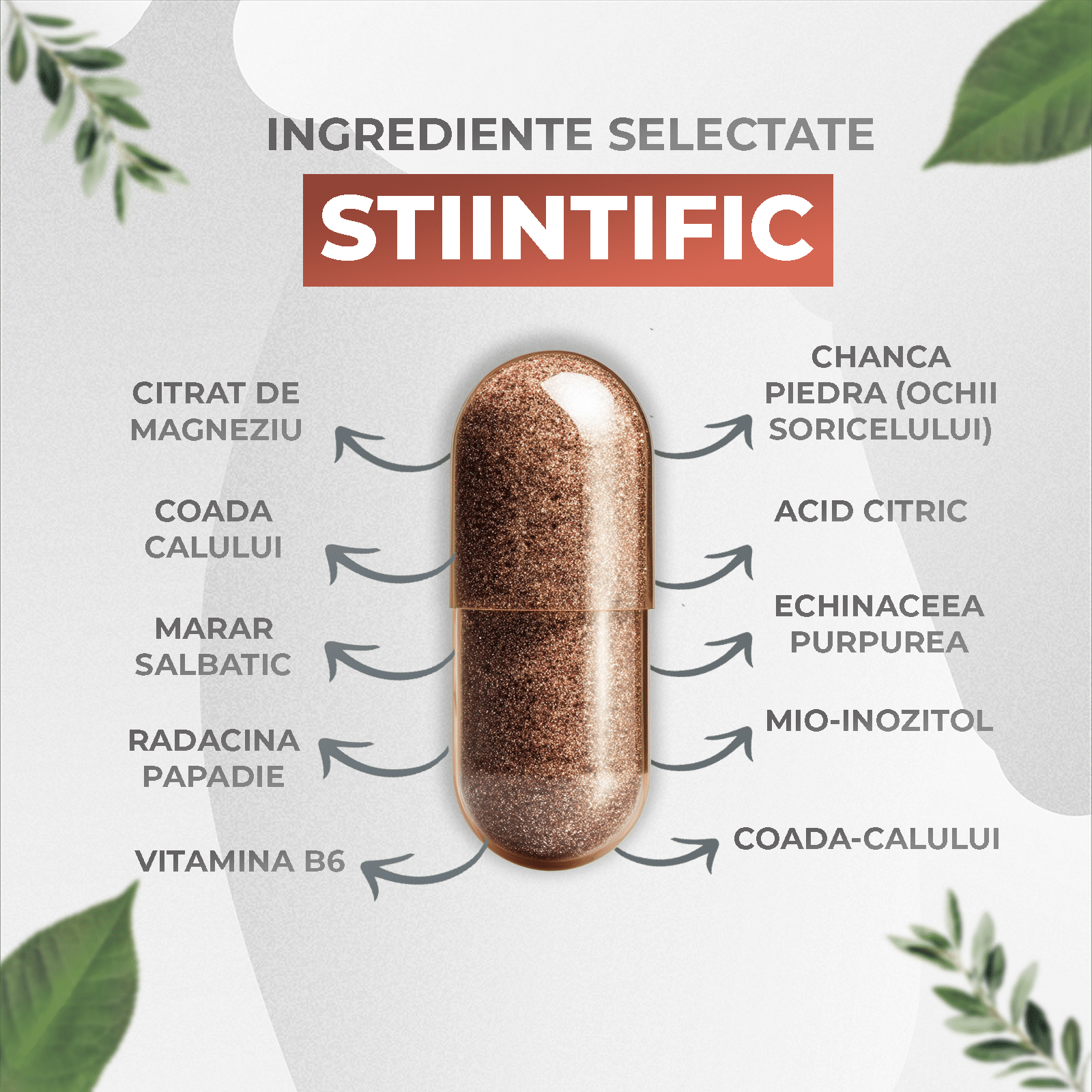 ingrediente-urostone