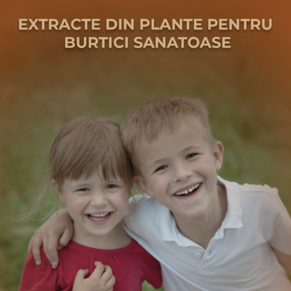 Extracte-din-plante-pentru-burtici-sanatoase