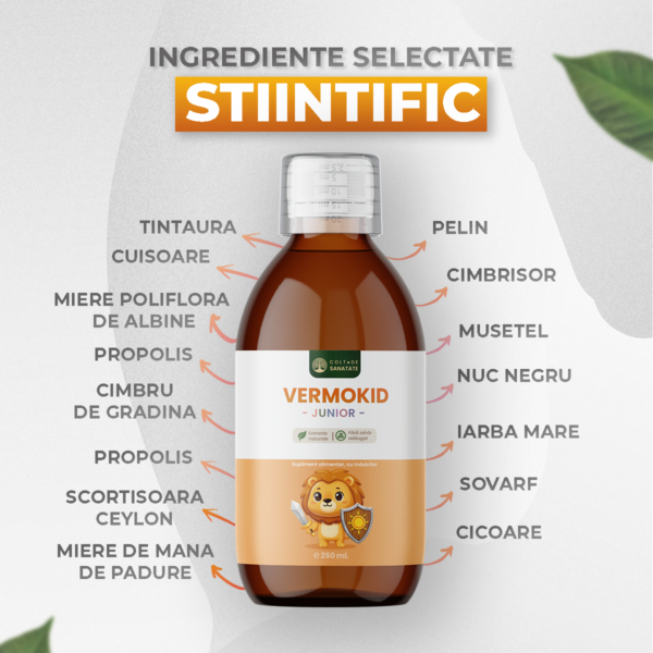 ingrediente-vermokid-junior