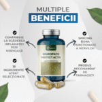 beneficii-neuropato-protect-activ