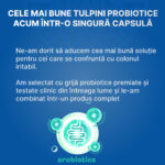 cele-mai-bune-probiotice-intr-o-singura-capsule